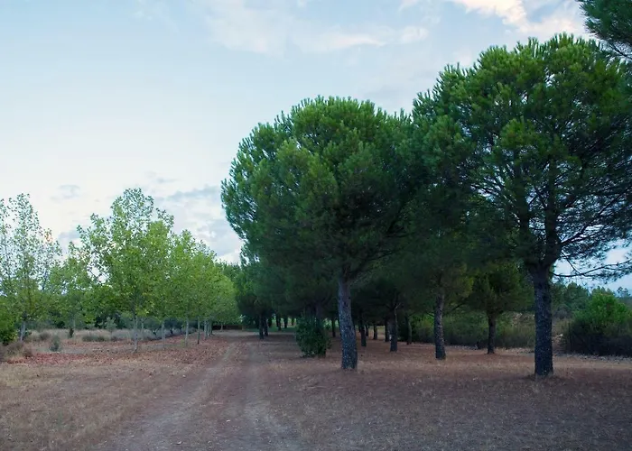 Отель Rural Tejuelas Valdecaballeros